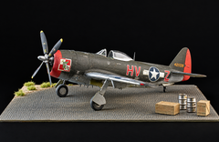 1:48 Redog - Marston Mat Airplane model  kits disply base.